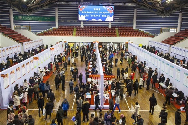 2月18日市体育馆招聘会：217家企业提供5651个岗位，超七成需求集中第二产业