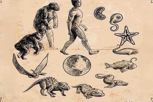 进化论奠基者达尔文，贡献何在？阐释物种起源，揭秘共同祖先的奇迹