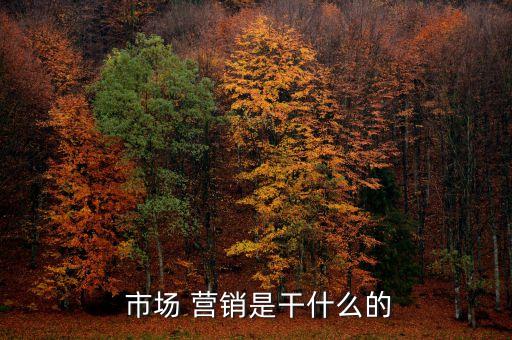 市场 营销是干什么的