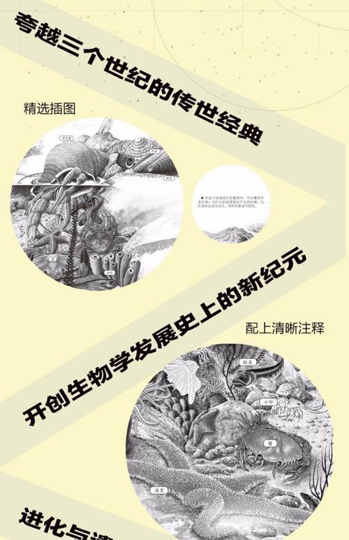 达尔文进化论到底说了啥？核心观点帮你梳理自然选择与物种起源