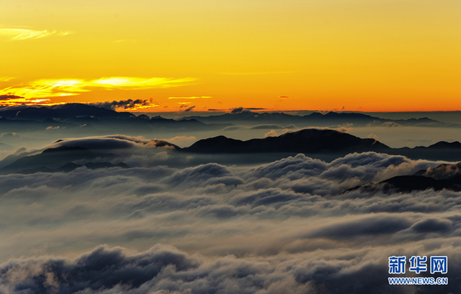 黄山旅游有限公司待遇_黄山旅游发展股份有限公司招聘_黄山旅游集团公司招聘