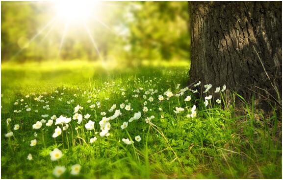 货币基金有风险吗？风险低≠零风险，投资者需做好这3点风险预估