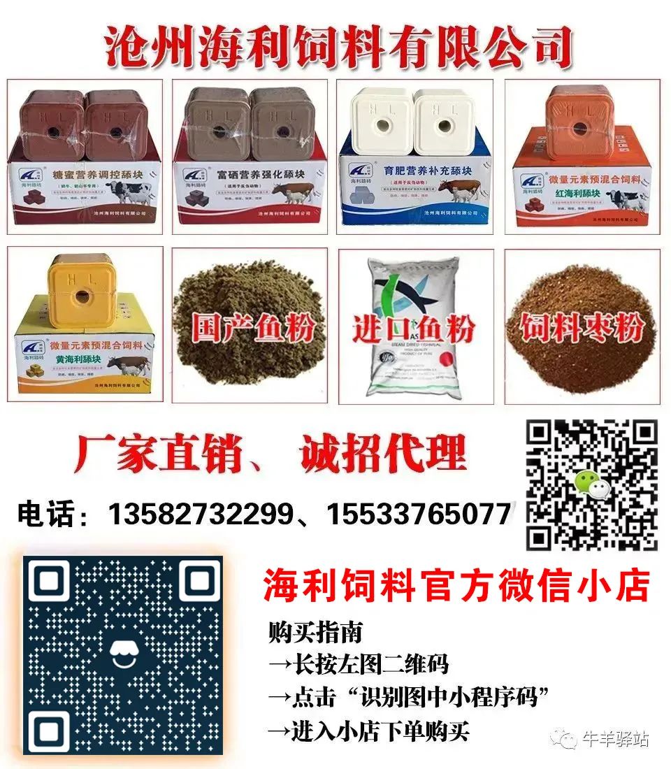 全国活牛价格行情_近几年活羊价格走势图_主产省份活牛价格分析