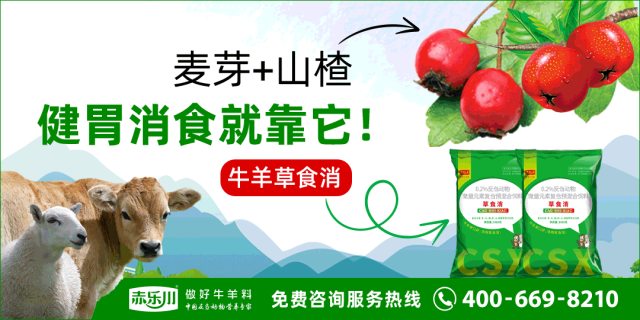 河北肉羊价格行情分析：寒羊、肉串、山羊价格及地区差异对比