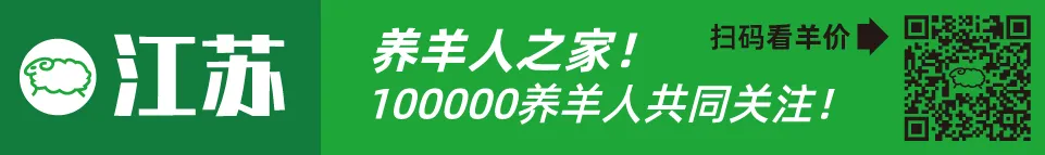 寒羊育肥母羔价格河南_寒羊育肥公羔价格河北_近几年活羊价格走势图