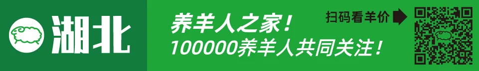 近几年活羊价格走势图_寒羊育肥母羔价格河南_寒羊育肥公羔价格河北