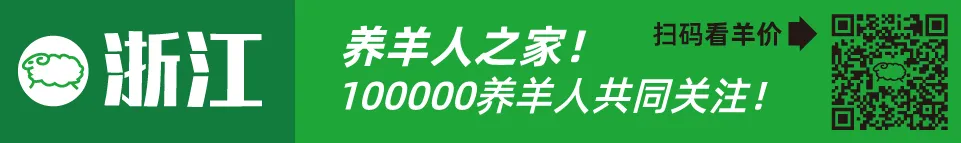 近几年活羊价格走势图_寒羊育肥母羔价格河南_寒羊育肥公羔价格河北