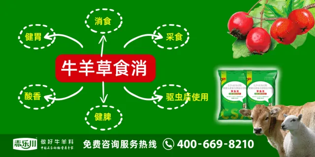 寒羊育肥母羔价格河南_寒羊育肥公羔价格河北_近几年活羊价格走势图