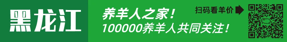 寒羊育肥母羔价格河南_寒羊育肥公羔价格河北_近几年活羊价格走势图