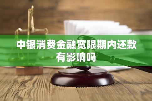 唯品会宽限期三天含义_买家延长收货是几天_唯品会宽限期定义