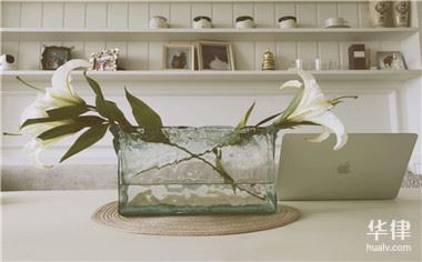 破产人作为担保人时债权申报的程序与规定详解：如何确保债权合法性