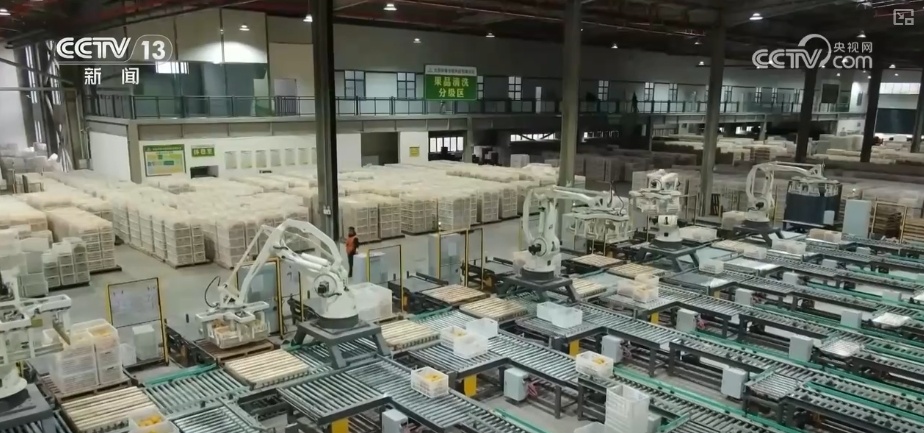 中国物流业景气指数_物流业景气指数有较大回落_西部地区物流业务增长