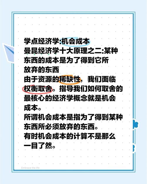 公共经济学中关于机会成本表述错误选项及税收政策工具探讨？