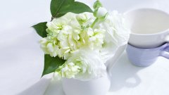 中外运航运股价连跌_机场航运股票行情