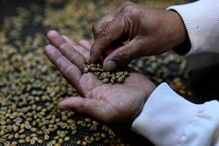 美国c期咖啡期货价格_咖啡豆价格上涨原因_阿拉比卡咖啡期货价格历史高点