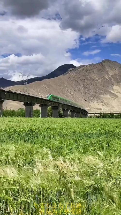 有关新中国成立以来的发展变化_西藏经济发展_西藏文化旅游产业