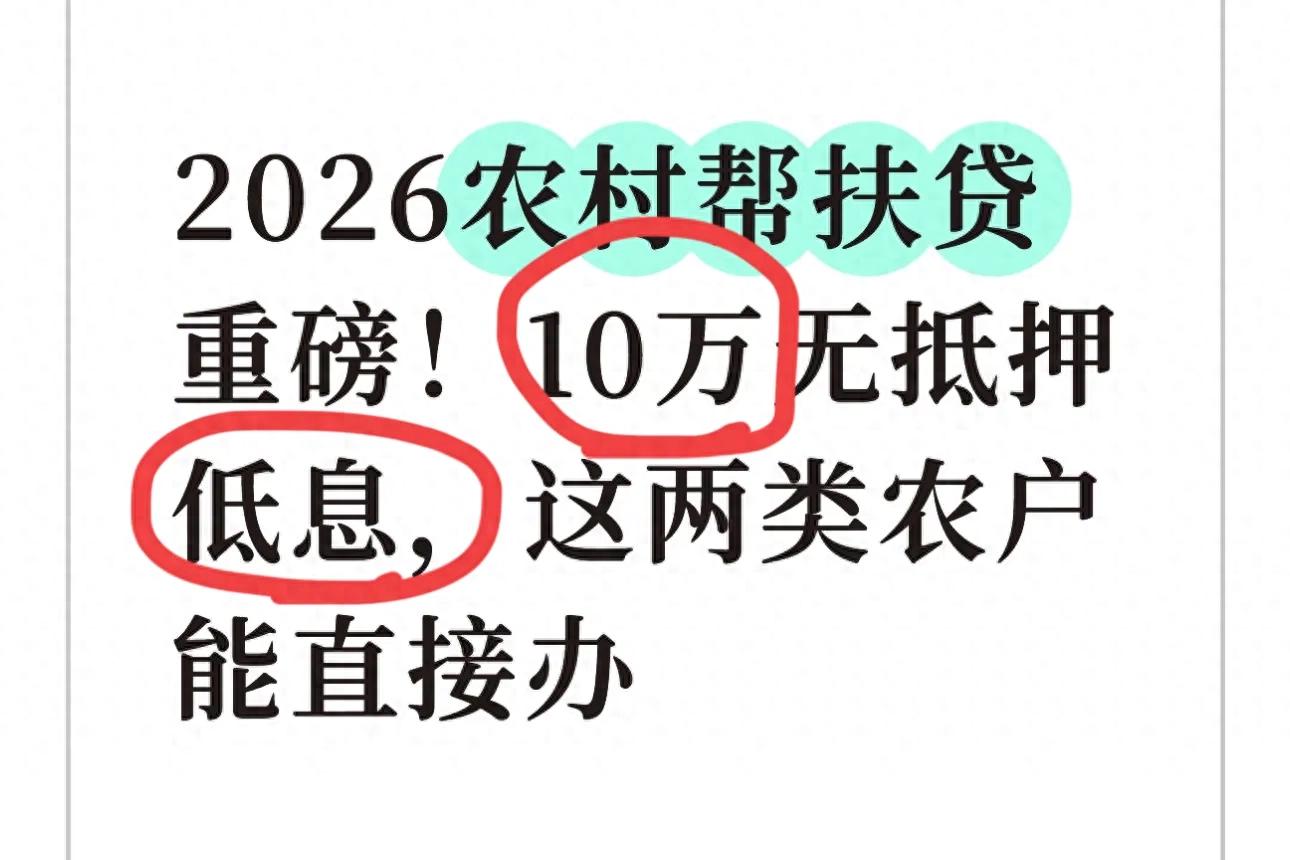农村贷款10万无抵押？农户必看：真假辨别与风险防范