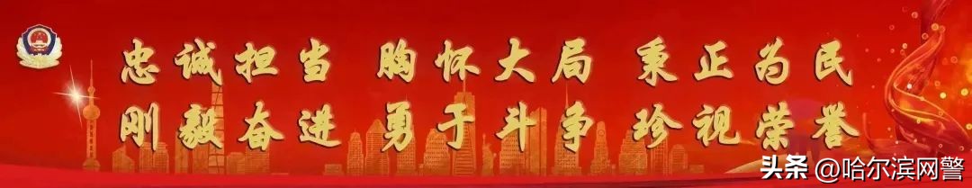 打击暴力虚开发票_哈尔滨市公安局警税协作机制_哈尔滨增值税专用发票
