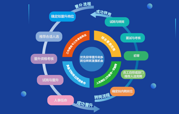 全栈全域解决方案_智能风险管理服务提供商_保险公司风控岗待遇