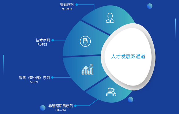 智能风险管理服务提供商_保险公司风控岗待遇_全栈全域解决方案