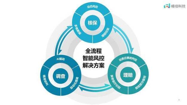 智能风险管理服务提供商_保险公司风控岗待遇_全栈全域解决方案