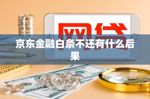 京东金融白条不还有什么后果
