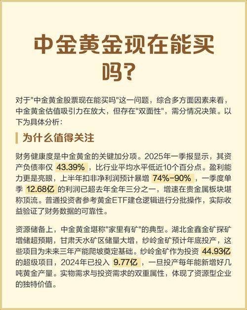 中金黄金投资价值分析，为投资者和利益相关者提供参考