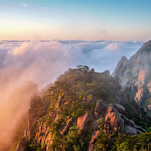 股东分红个人所得税什么时候交_股东分红个人所得税税率_公司向股东分红要交多少个税