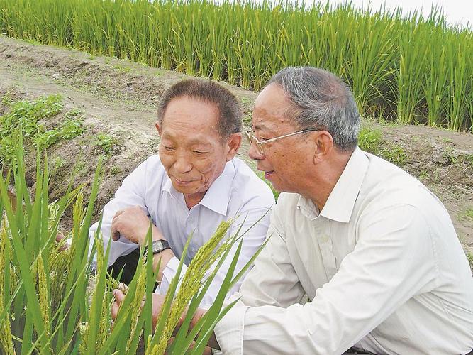 创新思维 类比思维 类比思维创新_类比创新法的生活例子