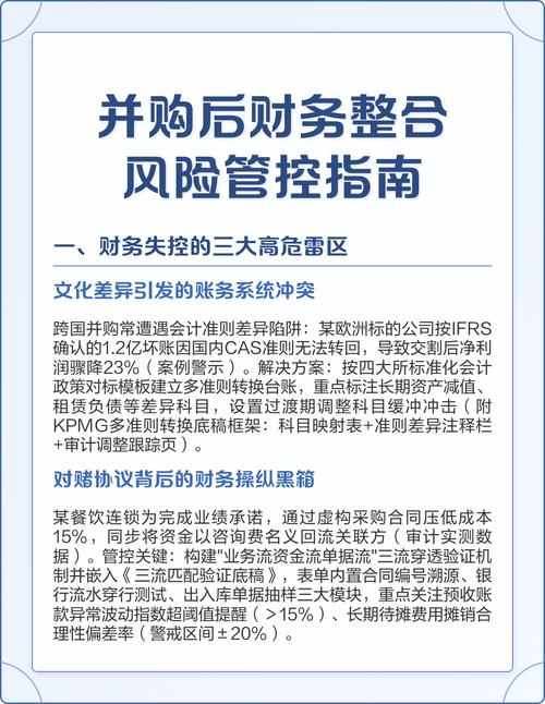 跨国并购财务风险_跨国并购整合阶段财务风险_跨国并购动因