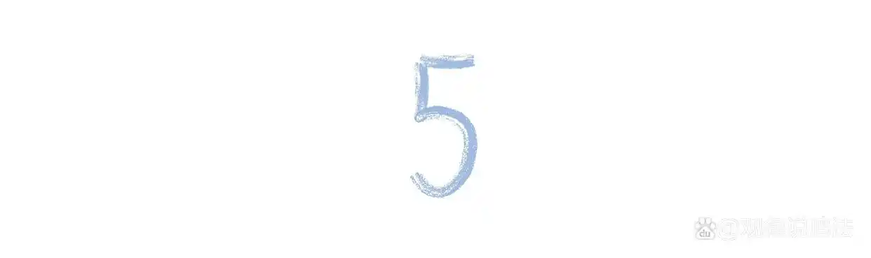 数字货币怎么用最新消息_数字人民币2.0版本 利息 存款保险