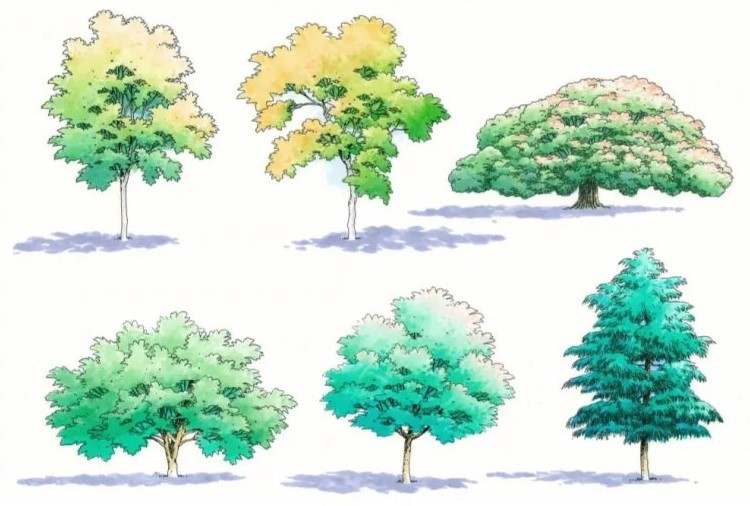 中国古典园林设计思想：追求自然融合、隐逸宜居与诗意意境