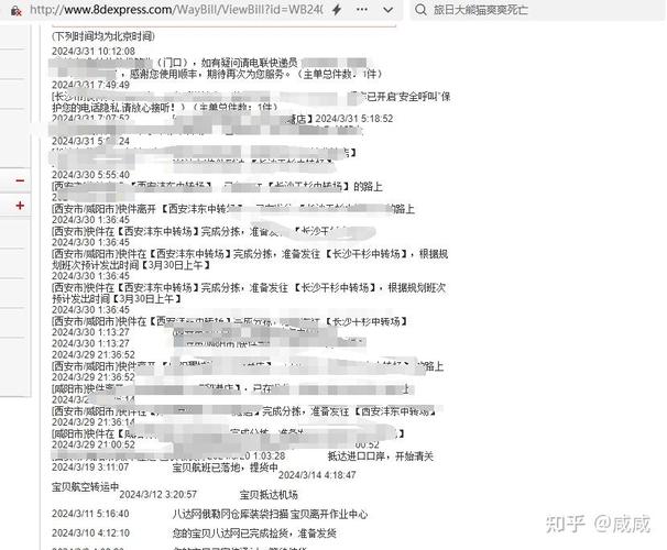 美国海淘转运公司哪个好_跨境物流网络深耕者_端到端物流解决方案提供者